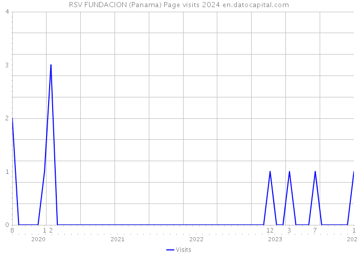 RSV FUNDACION (Panama) Page visits 2024 