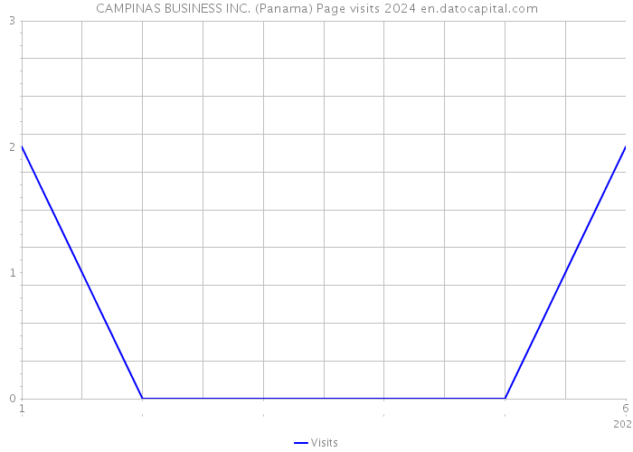 CAMPINAS BUSINESS INC. (Panama) Page visits 2024 