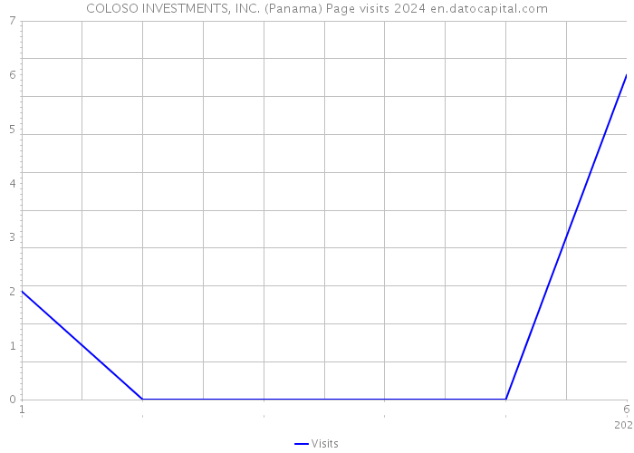 COLOSO INVESTMENTS, INC. (Panama) Page visits 2024 