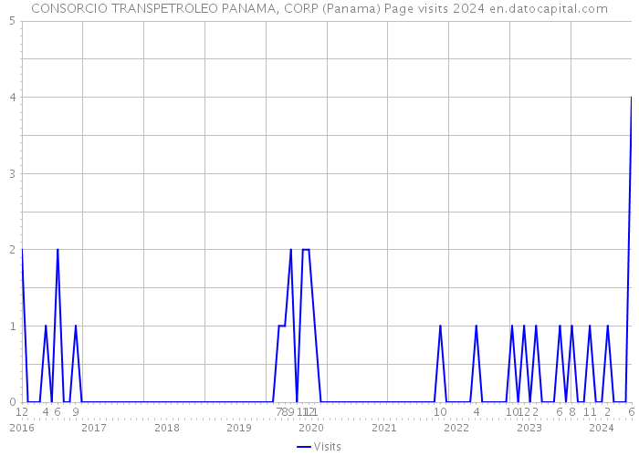 CONSORCIO TRANSPETROLEO PANAMA, CORP (Panama) Page visits 2024 