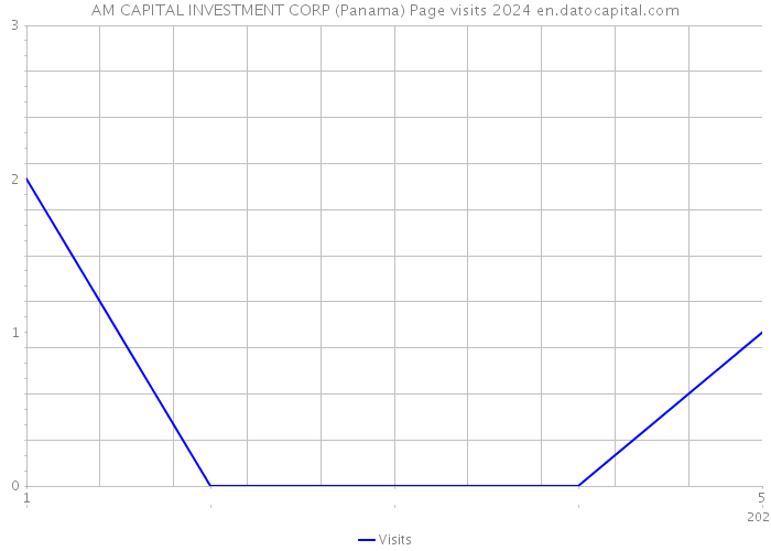 AM CAPITAL INVESTMENT CORP (Panama) Page visits 2024 