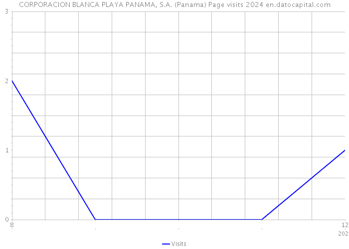 CORPORACION BLANCA PLAYA PANAMA, S.A. (Panama) Page visits 2024 