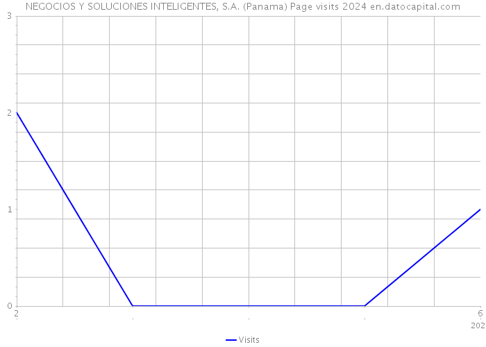 NEGOCIOS Y SOLUCIONES INTELIGENTES, S.A. (Panama) Page visits 2024 