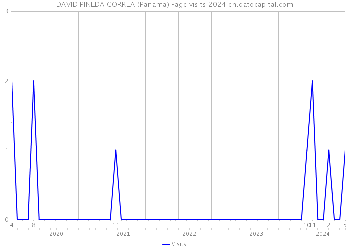 DAVID PINEDA CORREA (Panama) Page visits 2024 