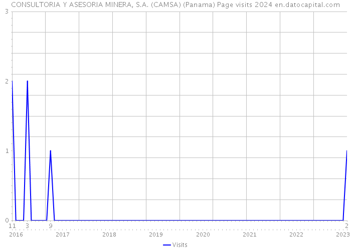 CONSULTORIA Y ASESORIA MINERA, S.A. (CAMSA) (Panama) Page visits 2024 