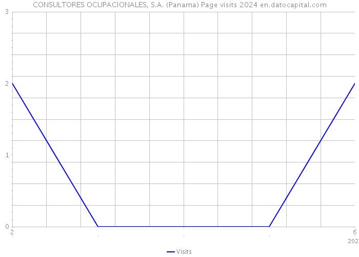 CONSULTORES OCUPACIONALES, S.A. (Panama) Page visits 2024 