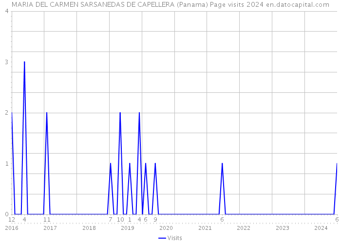 MARIA DEL CARMEN SARSANEDAS DE CAPELLERA (Panama) Page visits 2024 