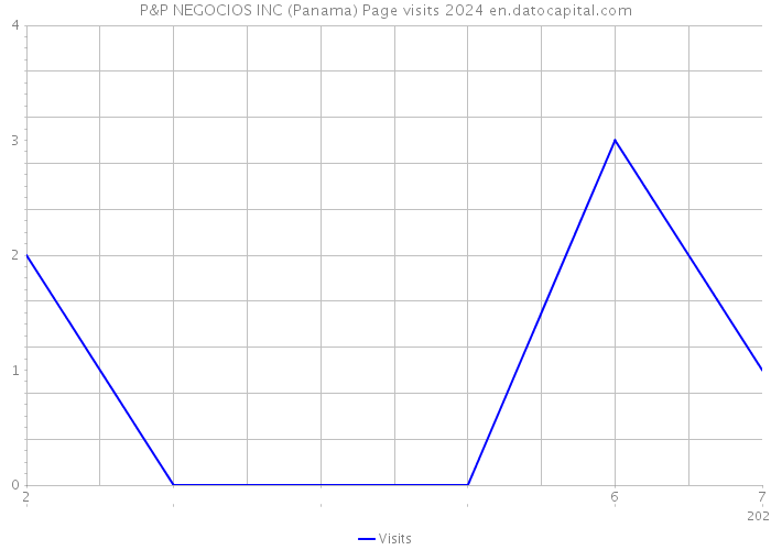P&P NEGOCIOS INC (Panama) Page visits 2024 