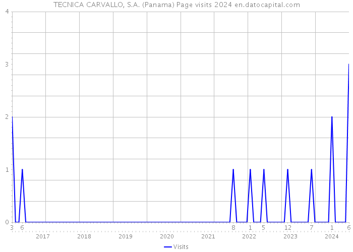 TECNICA CARVALLO, S.A. (Panama) Page visits 2024 