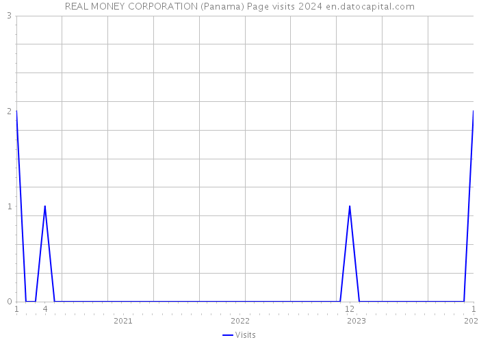REAL MONEY CORPORATION (Panama) Page visits 2024 
