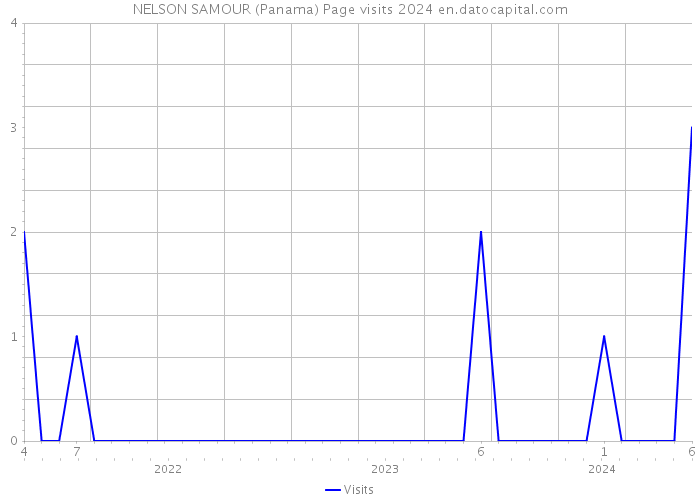 NELSON SAMOUR (Panama) Page visits 2024 