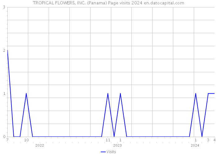 TROPICAL FLOWERS, INC. (Panama) Page visits 2024 