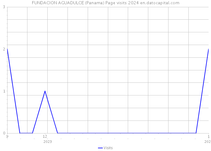 FUNDACION AGUADULCE (Panama) Page visits 2024 