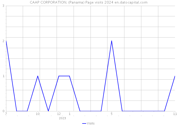 CAAP CORPORATION. (Panama) Page visits 2024 