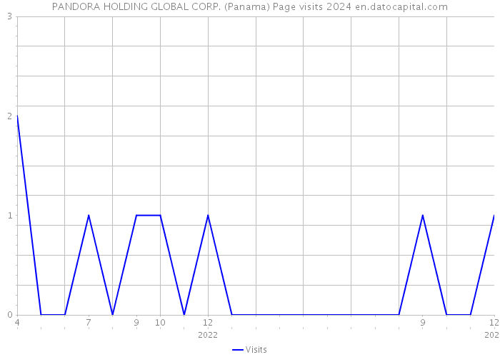 PANDORA HOLDING GLOBAL CORP. (Panama) Page visits 2024 