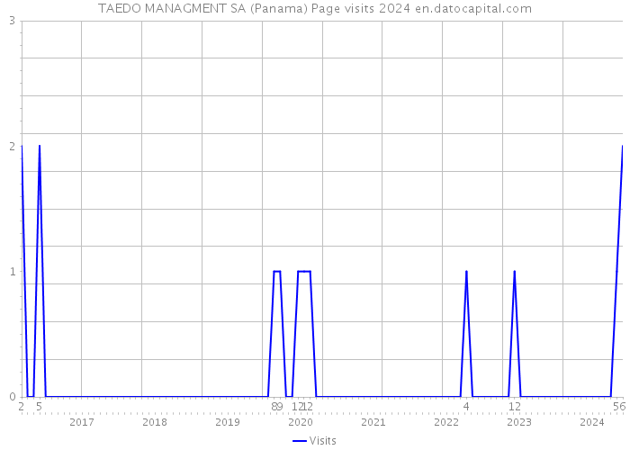 TAEDO MANAGMENT SA (Panama) Page visits 2024 