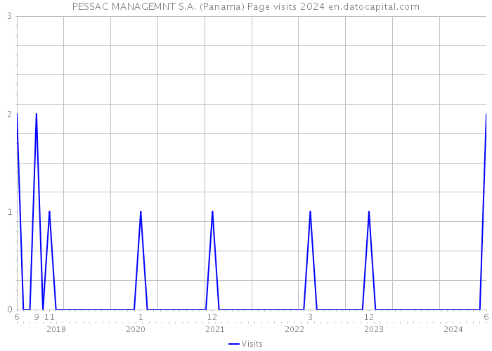 PESSAC MANAGEMNT S.A. (Panama) Page visits 2024 