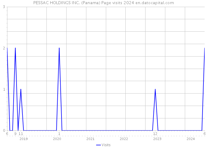PESSAC HOLDINGS INC. (Panama) Page visits 2024 