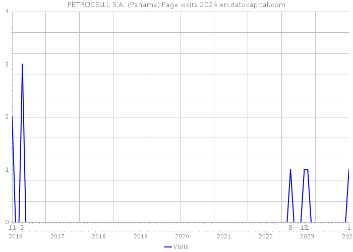 PETROCELLI, S.A. (Panama) Page visits 2024 