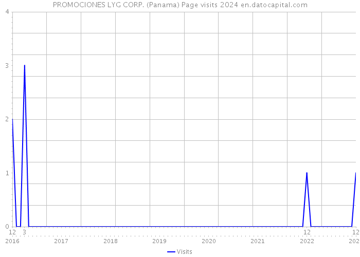 PROMOCIONES LYG CORP. (Panama) Page visits 2024 