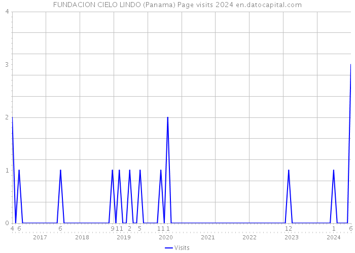 FUNDACION CIELO LINDO (Panama) Page visits 2024 