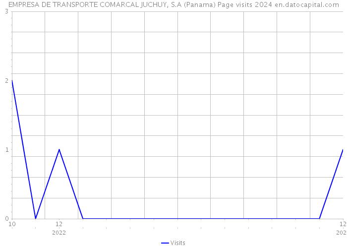 EMPRESA DE TRANSPORTE COMARCAL JUCHUY, S.A (Panama) Page visits 2024 