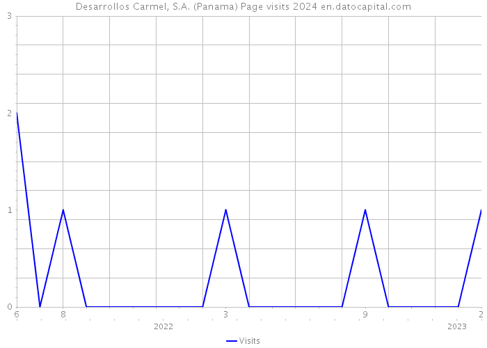 Desarrollos Carmel, S.A. (Panama) Page visits 2024 