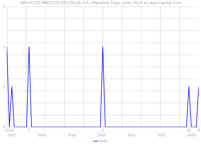 SERVICIOS MEDICOS DE COCLE, S.A. (Panama) Page visits 2024 