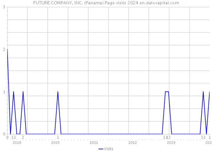 FUTURE COMPANY, INC. (Panama) Page visits 2024 