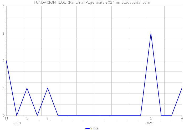 FUNDACION FEOLI (Panama) Page visits 2024 
