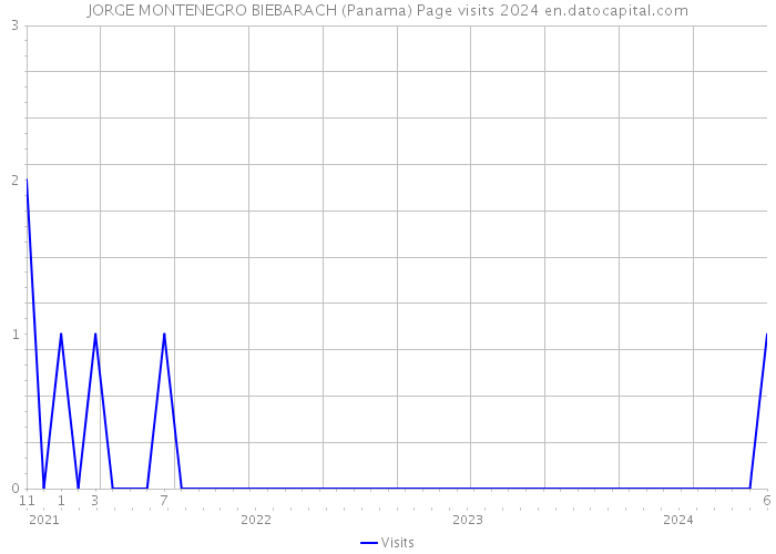 JORGE MONTENEGRO BIEBARACH (Panama) Page visits 2024 