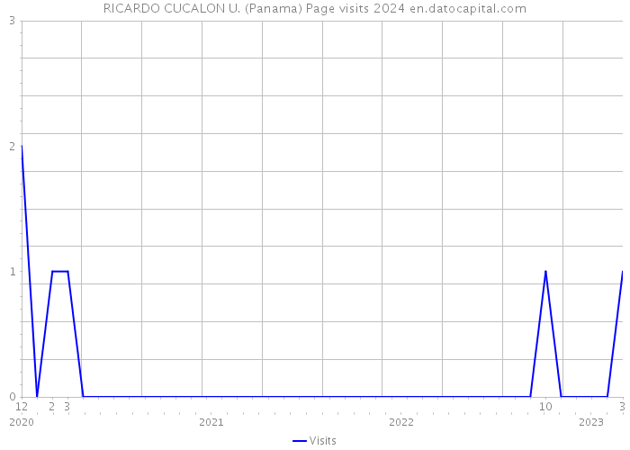 RICARDO CUCALON U. (Panama) Page visits 2024 