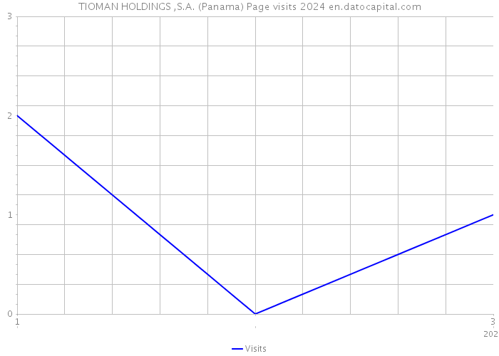 TIOMAN HOLDINGS ,S.A. (Panama) Page visits 2024 