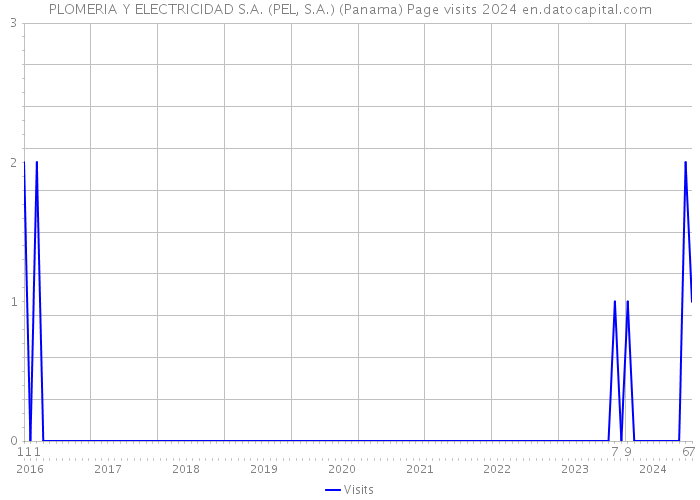 PLOMERIA Y ELECTRICIDAD S.A. (PEL, S.A.) (Panama) Page visits 2024 