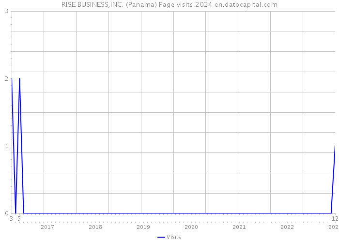 RISE BUSINESS,INC. (Panama) Page visits 2024 