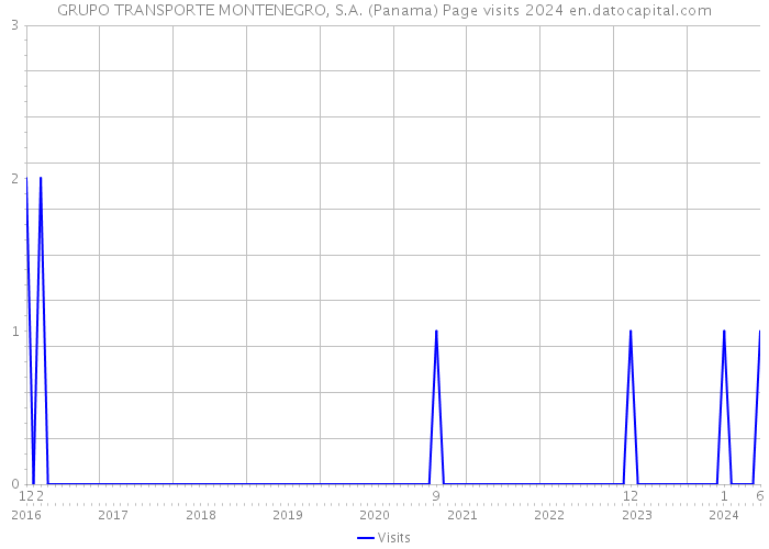 GRUPO TRANSPORTE MONTENEGRO, S.A. (Panama) Page visits 2024 