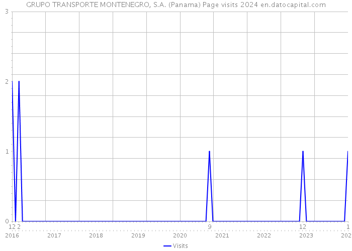 GRUPO TRANSPORTE MONTENEGRO, S.A. (Panama) Page visits 2024 