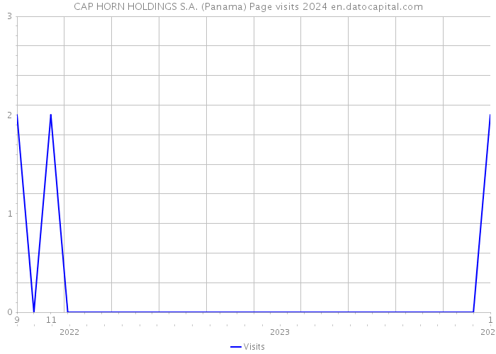 CAP HORN HOLDINGS S.A. (Panama) Page visits 2024 