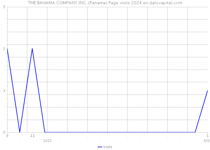 THE BANAMA COMPANY INC. (Panama) Page visits 2024 