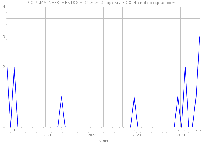 RIO PUMA INVESTMENTS S.A. (Panama) Page visits 2024 