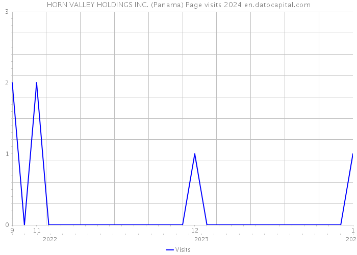 HORN VALLEY HOLDINGS INC. (Panama) Page visits 2024 