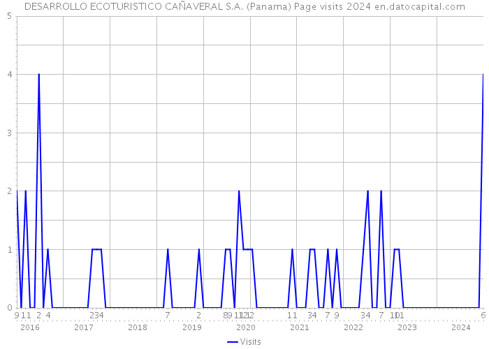 DESARROLLO ECOTURISTICO CAÑAVERAL S.A. (Panama) Page visits 2024 