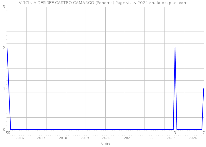 VIRGINIA DESIREE CASTRO CAMARGO (Panama) Page visits 2024 