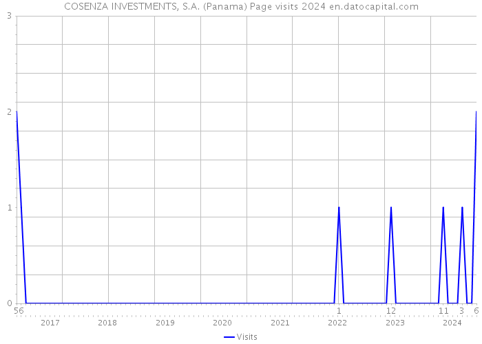 COSENZA INVESTMENTS, S.A. (Panama) Page visits 2024 