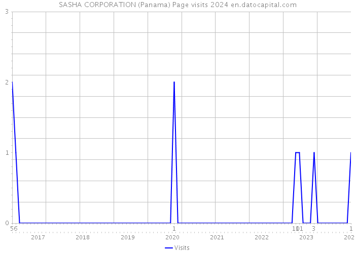 SASHA CORPORATION (Panama) Page visits 2024 