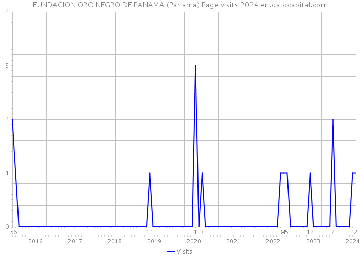 FUNDACION ORO NEGRO DE PANAMA (Panama) Page visits 2024 