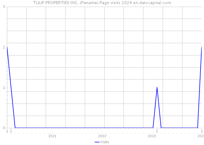 TULIP PROPERTIES INC. (Panama) Page visits 2024 