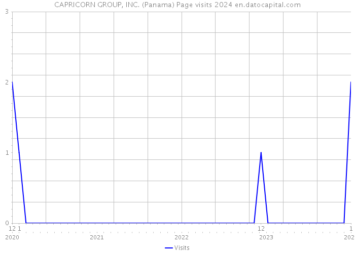 CAPRICORN GROUP, INC. (Panama) Page visits 2024 