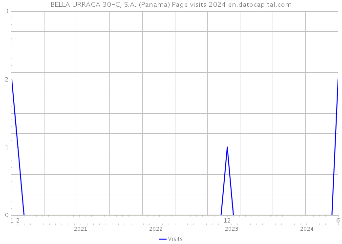 BELLA URRACA 30-C, S.A. (Panama) Page visits 2024 