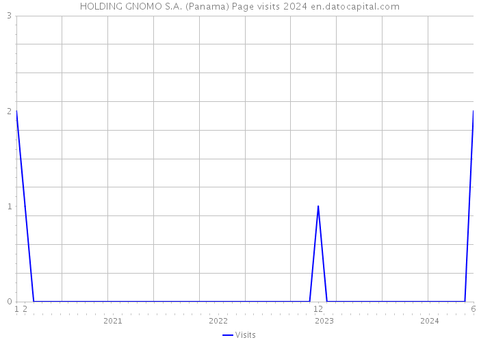 HOLDING GNOMO S.A. (Panama) Page visits 2024 